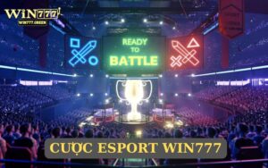 cược esport win777