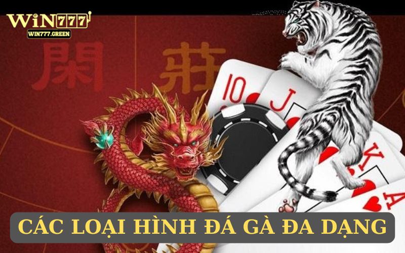 Khám phá luật chơi Rồng Hổ trực tuyến