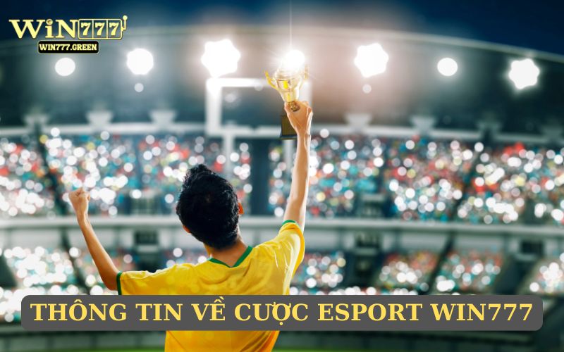 Thông tin về cược Esport WIN777