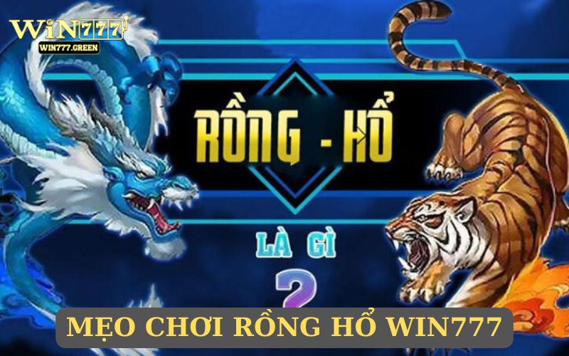 Tìm kiếm mẹo cược Rồng Hổ hay nhất